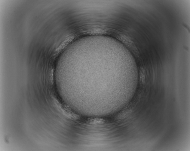 X0000101950206200808081513