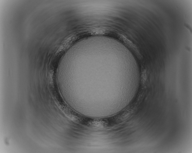 X0000101950209200808081513