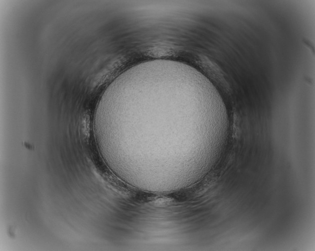 X0000101950210200808081513
