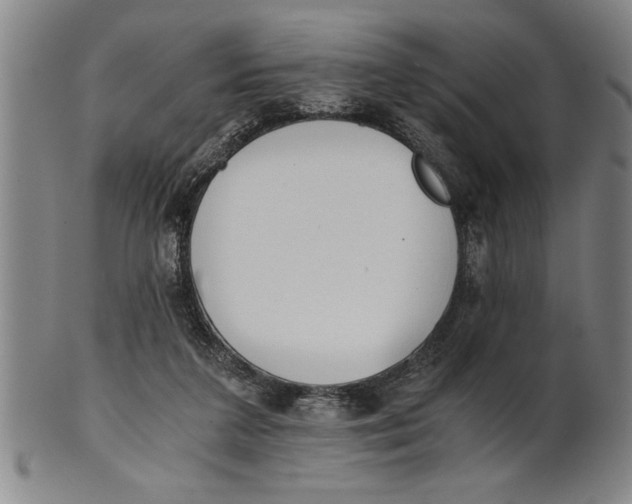 X0000101950211200808081513