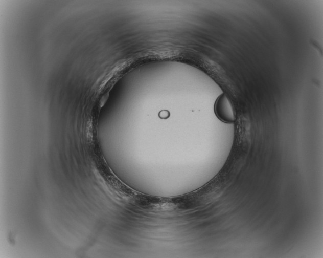 X0000101950212200808081513