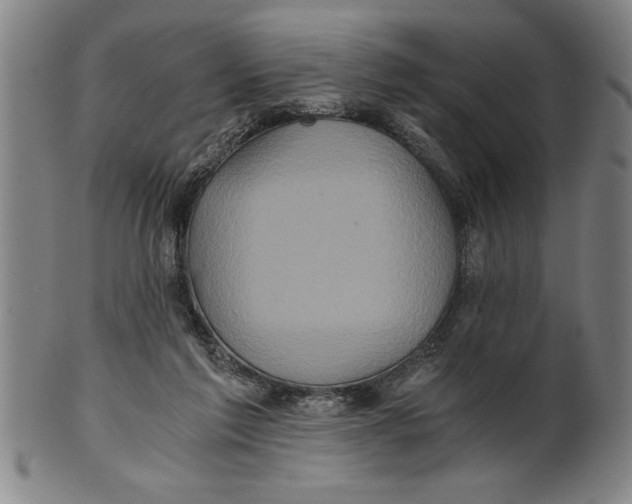 X0000101950213200808081513