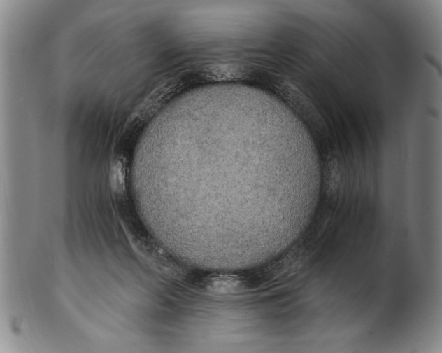 X0000101950214200808081513