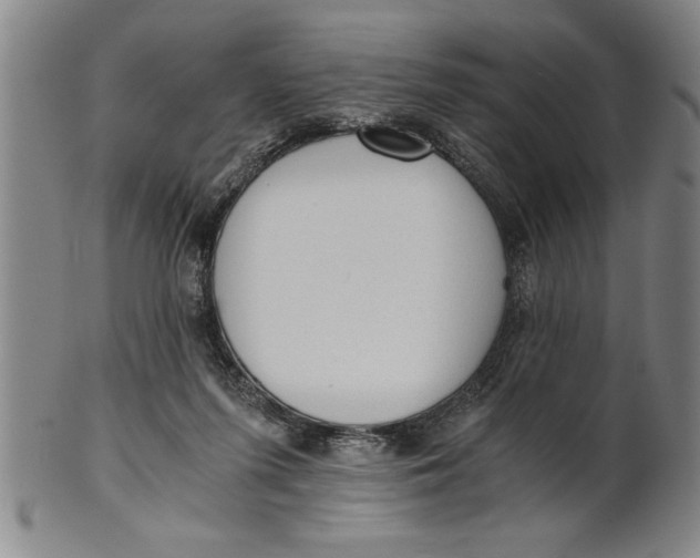 X0000101950215200808081513