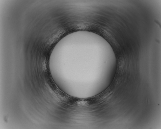 X0000101950216200808081513