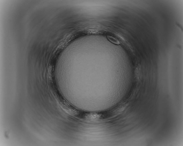 X0000101950217200808081513
