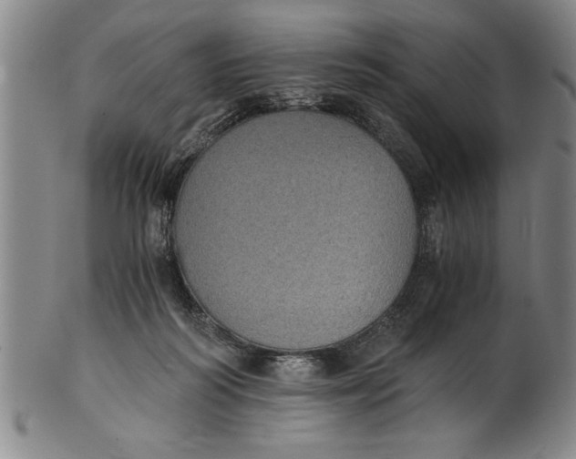 X0000101950218200808081513
