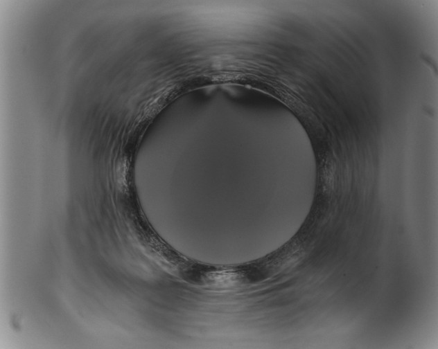 X0000101950219200808081513