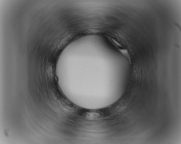 X0000101950220200808081513
