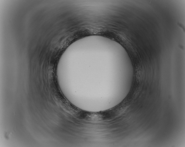 X0000101950221200808081512