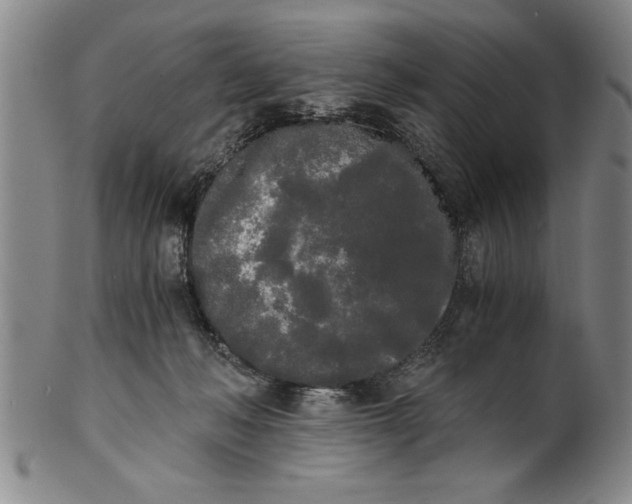 X0000101950222200808081512