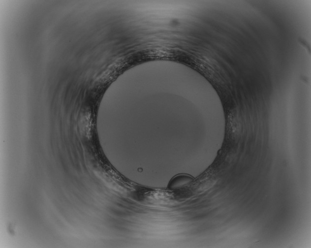 X0000101950223200808081512