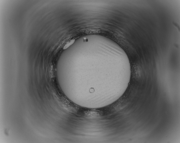 X0000101950224200808081512