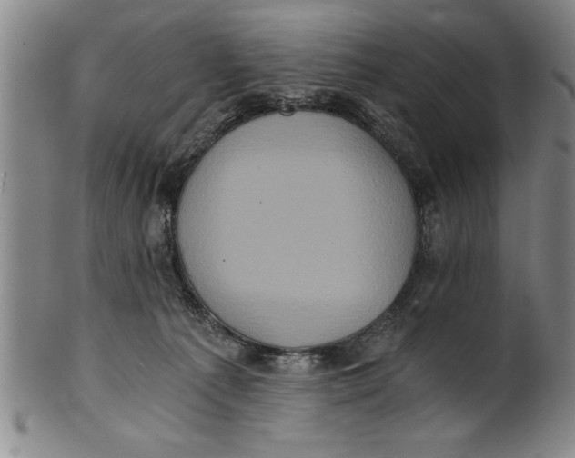 X0000101950225200808081512