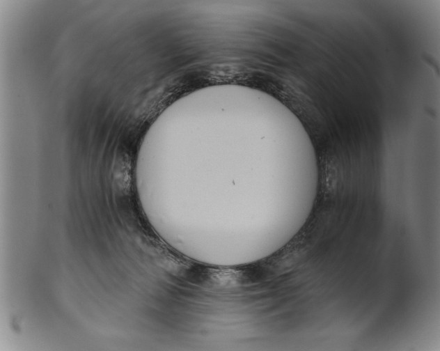 X0000101950226200808081512