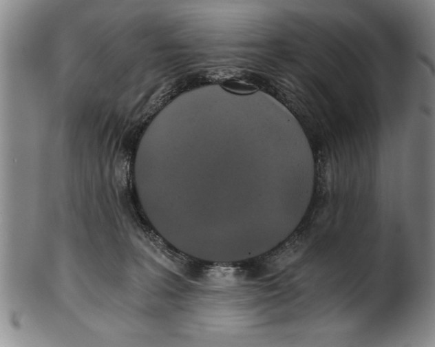 X0000101950227200808081512