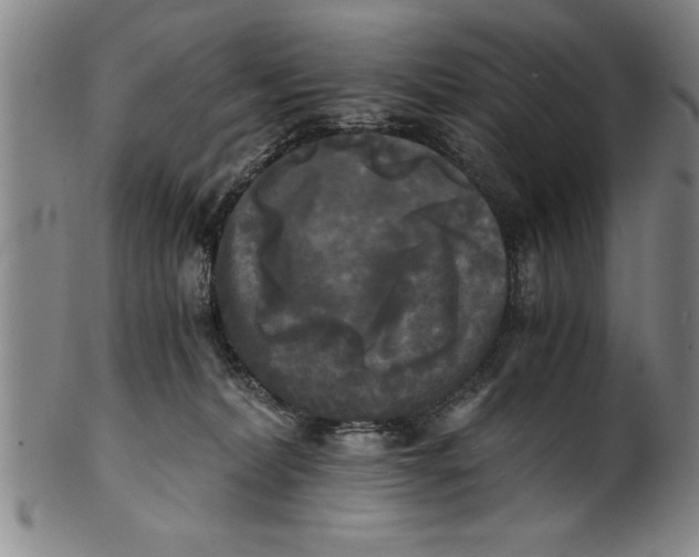 X0000101950228200808081512