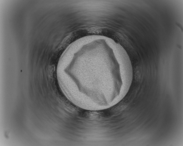 X0000101950229200808081512