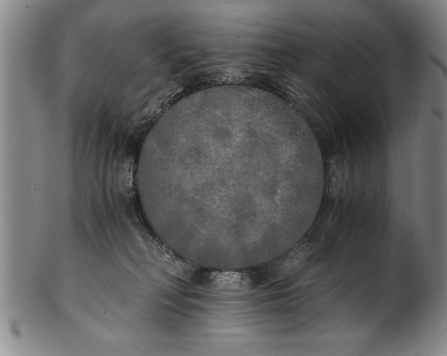 X0000101950230200808081512