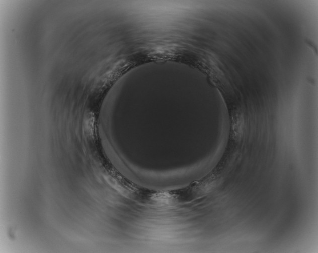 X0000101950231200808081512