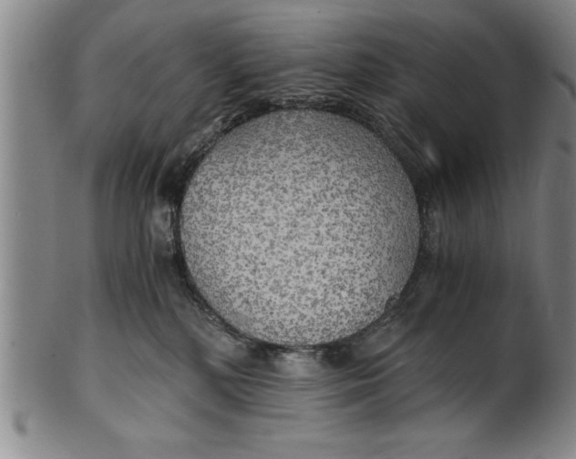 X0000101950232200808081512