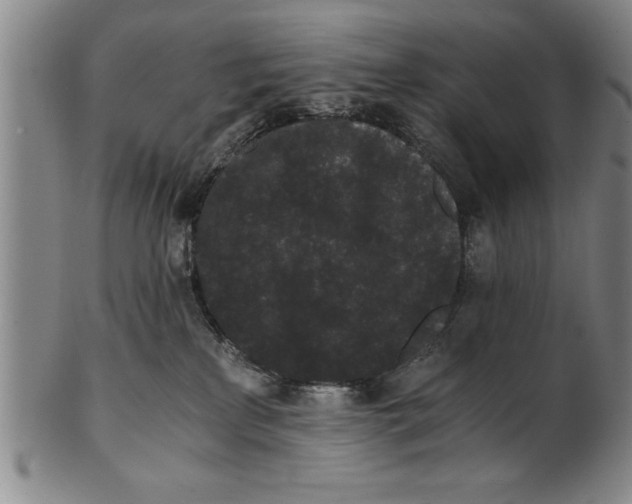 X0000101950233200808081512