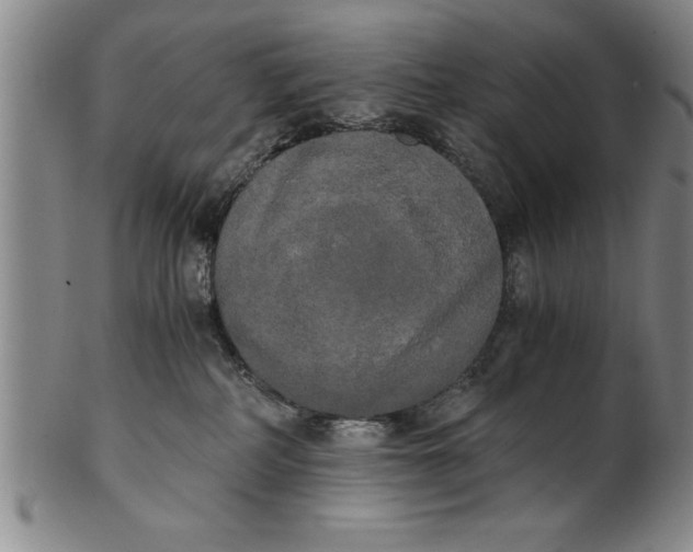 X0000101950234200808081512