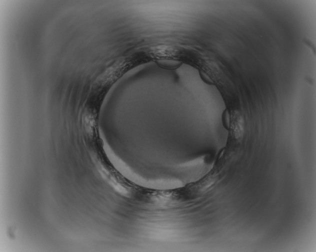 X0000101950235200808081512