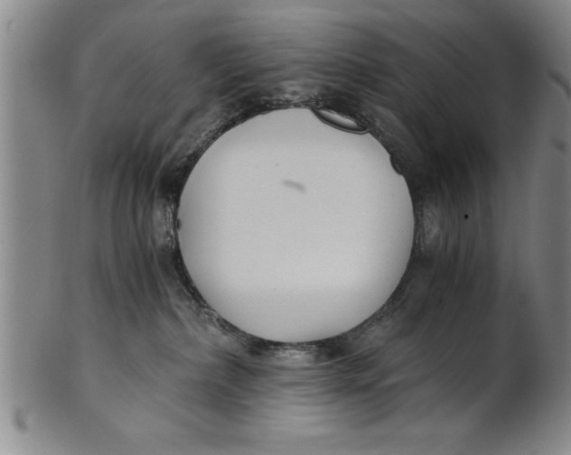 X0000101950236200808081512