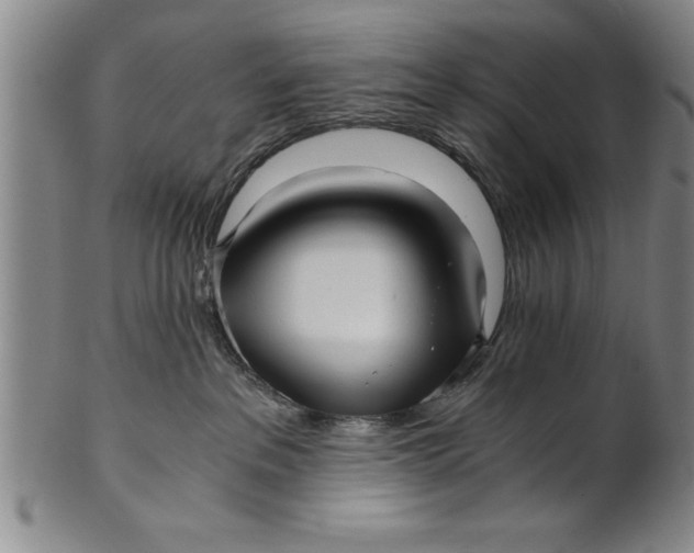 X0000101950237200808081512
