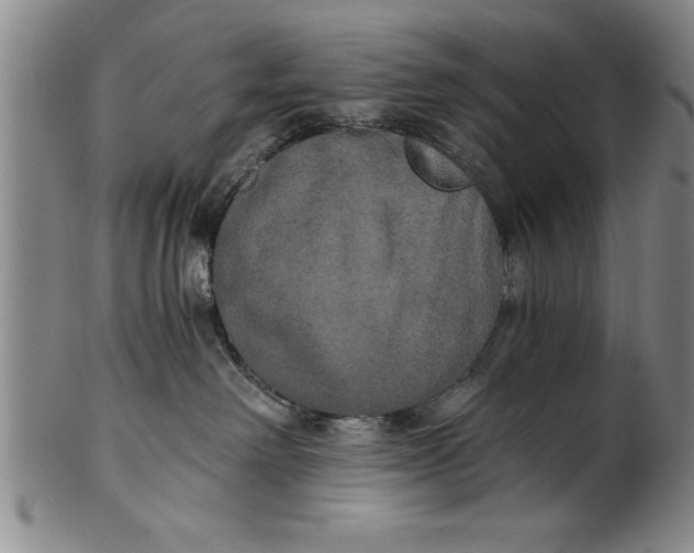 X0000101950238200808081512