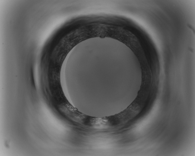 X0000101950239200808081512