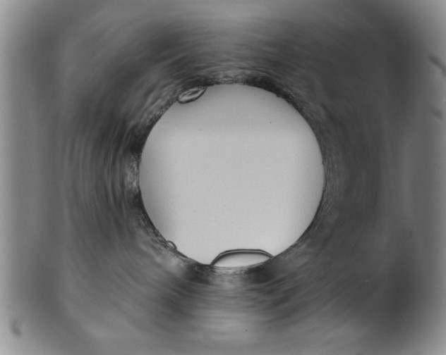 X0000101950240200808081512
