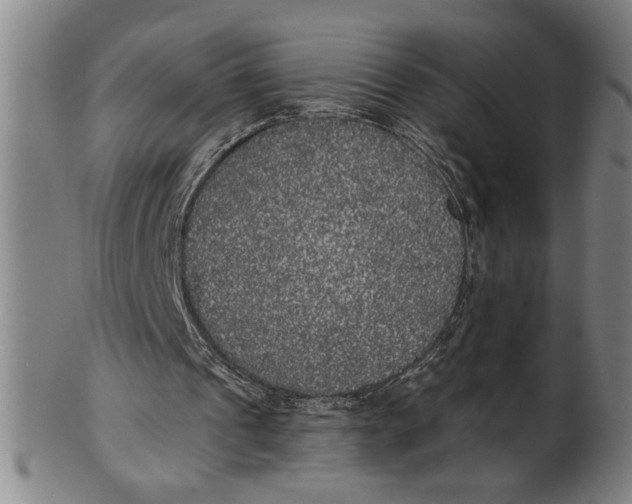 X0000101950241200808081512