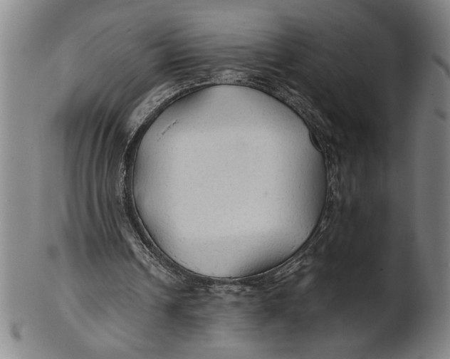 X0000101950242200808081512
