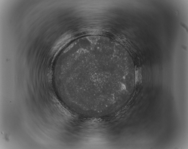 X0000101950243200808081512