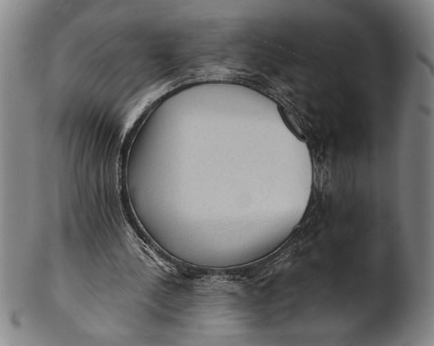 X0000101950244200808081512