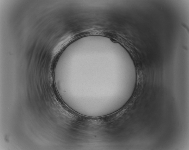 X0000101950245200808081512