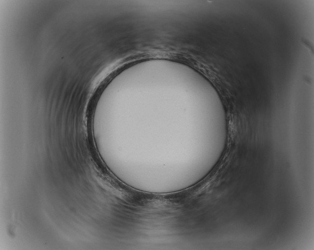 X0000101950246200808081512
