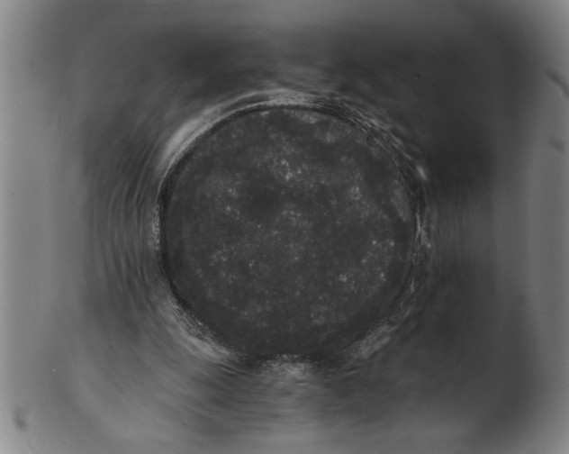 X0000101950247200808081512