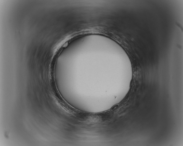 X0000101950248200808081512