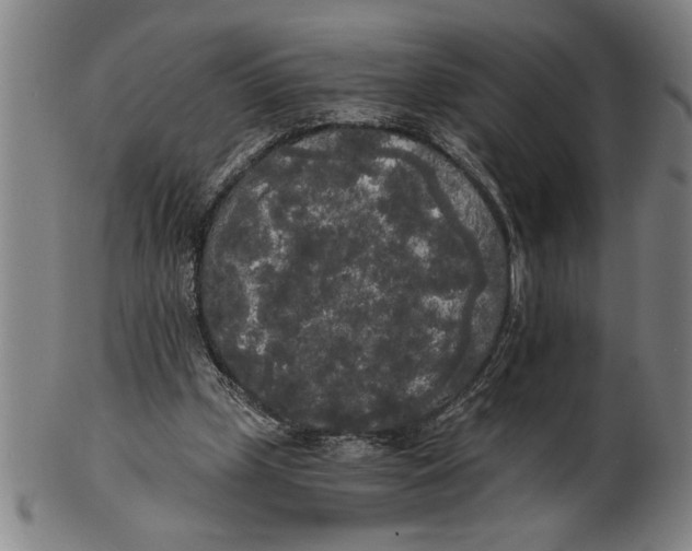X0000101950249200808081512