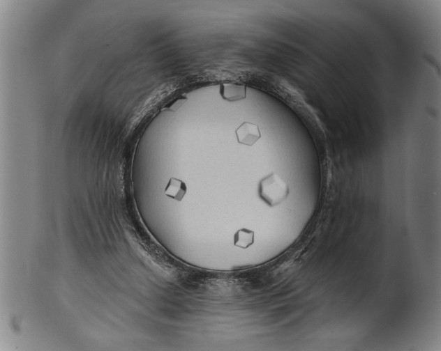 X0000101950250200808081512