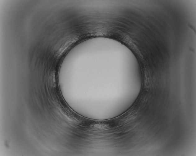 X0000101950251200808081512