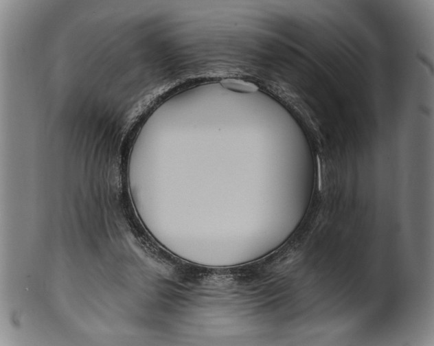 X0000101950252200808081512