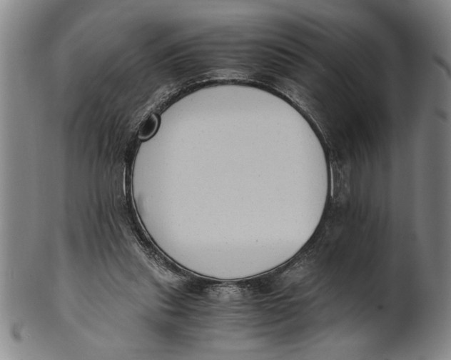 X0000101950253200808081512