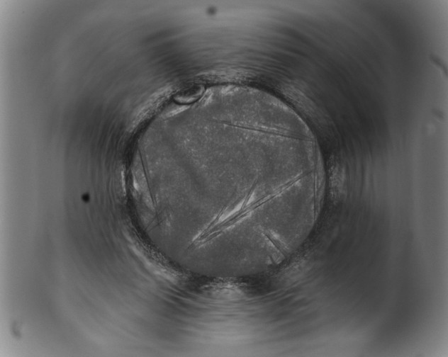 X0000101950254200808081512