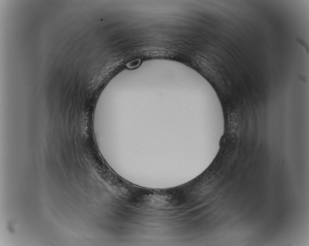 X0000101950255200808081512