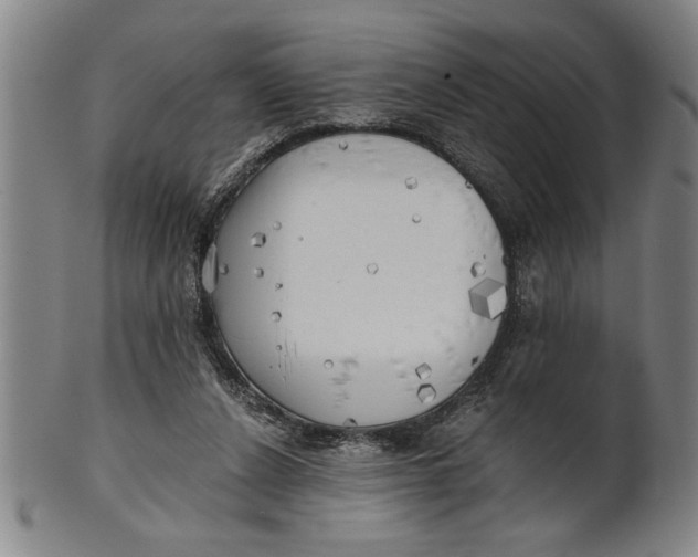 X0000101950256200808081512
