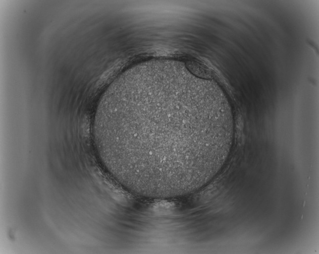 X0000101950257200808081512